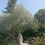Les Terrasses Du Carlat, Le Logis, Demeure Raffinee, Situation Ideale Dordogne, Vues, Piscine *