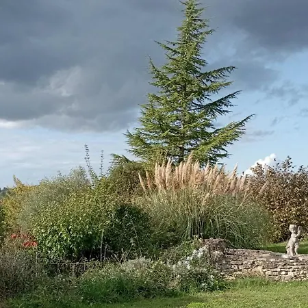Les Terrasses Du Carlat, Le Logis, Demeure Raffinee, Situation Ideale Dordogne, Vues, Piscine * Saint-Cybranet
