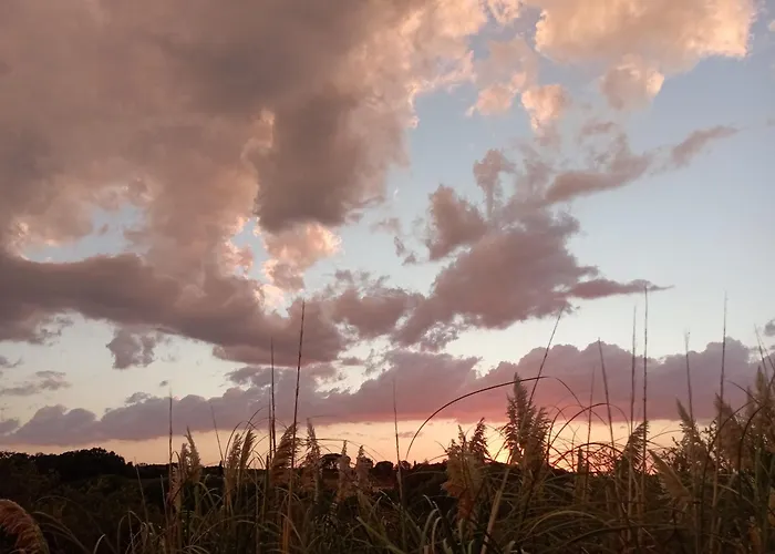 Les Terrasses Du Carlat, Le Logis, Demeure Raffinee, Situation Ideale Dordogne, Vues, Piscine